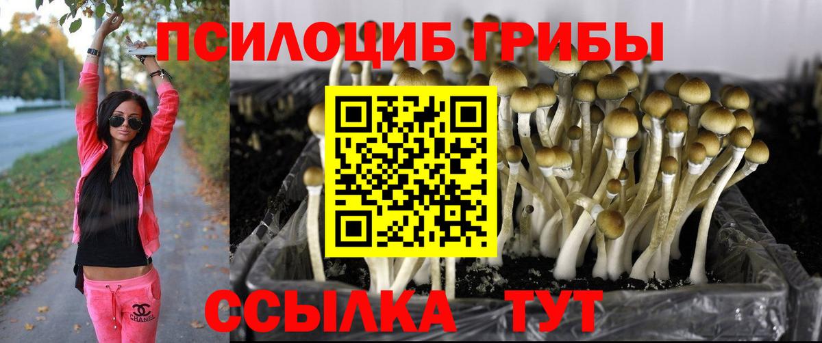 Бошки Шишки  Вход с VPN  A PVP СК   Сальск  КЕТАМИН  Меф МЯУ МЯУ кристаллы  Гашиш 