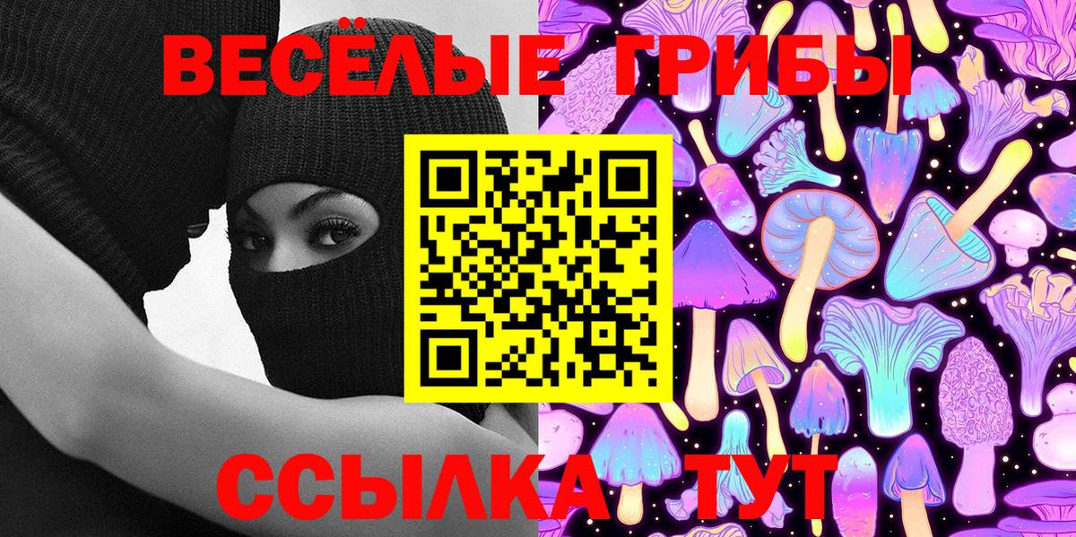 Галлюциногенные грибы прущие грибы Сальск