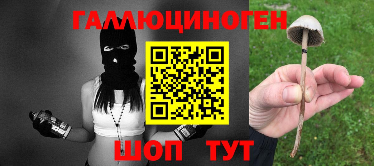 цена наркотик  Вход с VPN  Галлюциногенные грибы MAGIC MUSHROOMS  Сальск  Псилоцибиновые грибы мухоморы 