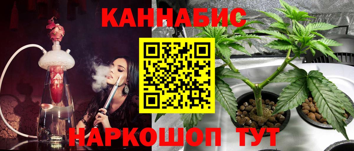 Бошки Шишки марихуана Сальск
